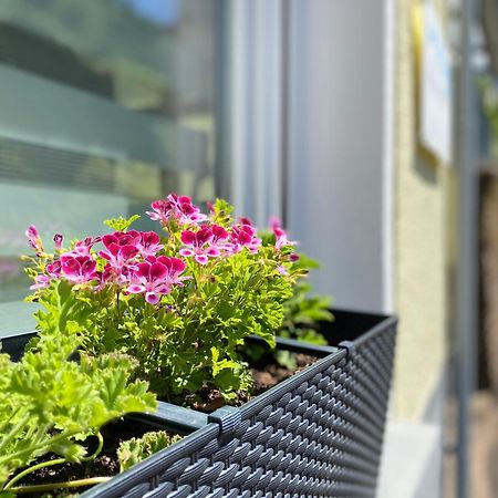 "Haus Bella" Apartman Cochem Kültér fotó