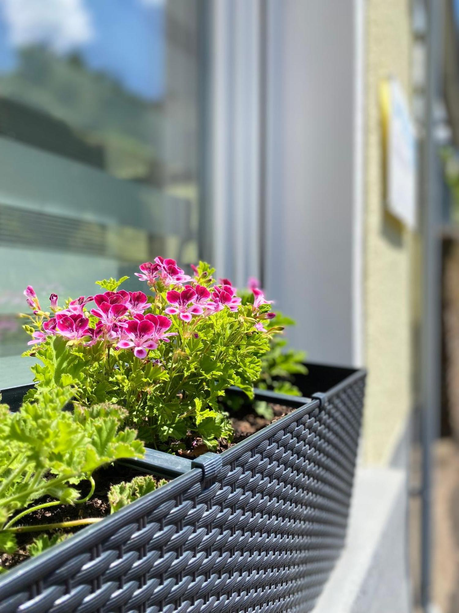 "Haus Bella" Apartman Cochem Kültér fotó